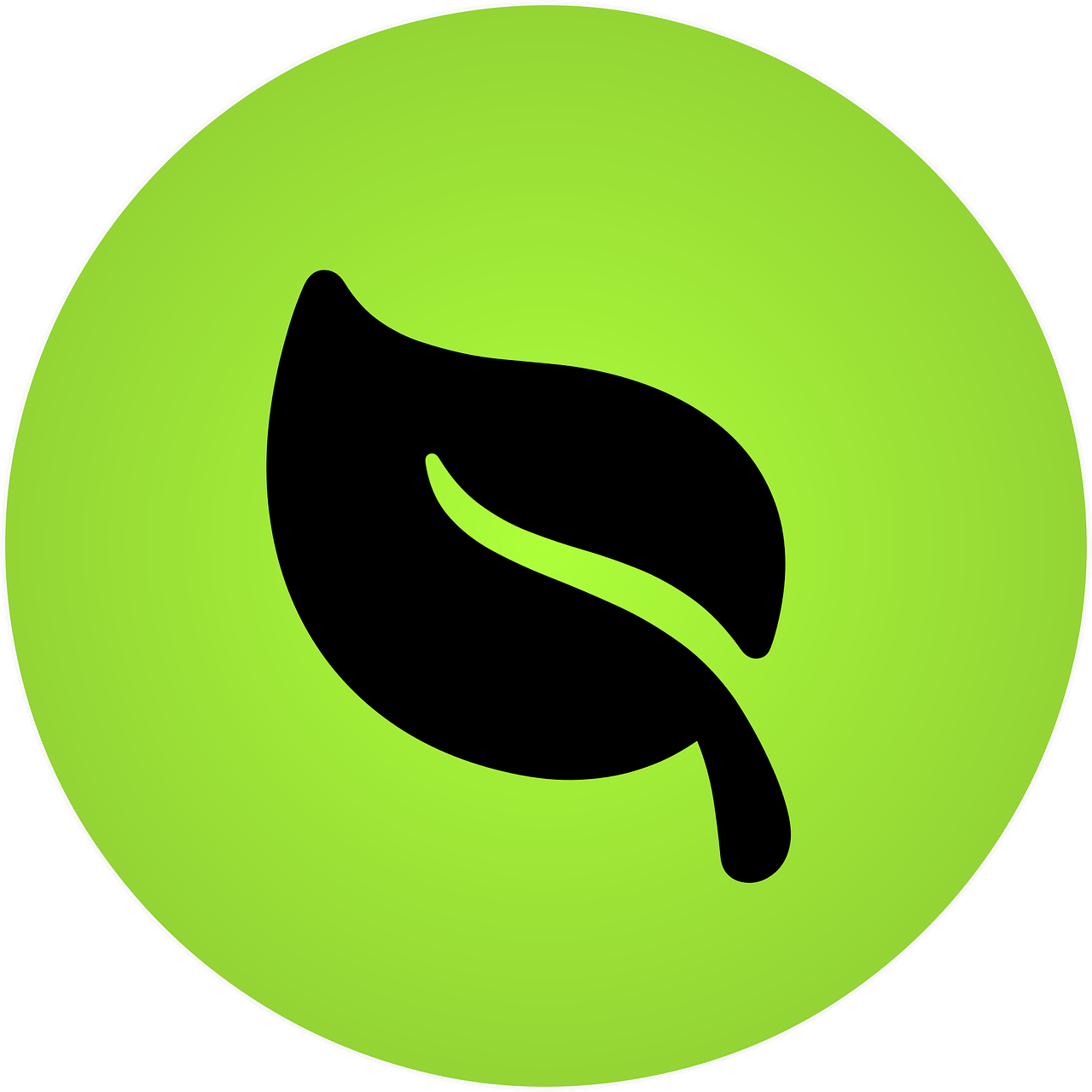 Spring logo